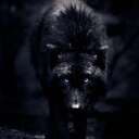 BlackSpiritWolf